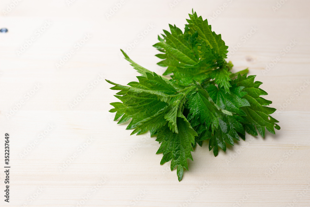 Fresh green nettle leaves on wooden background Fresh green nettle leaves on wooden background