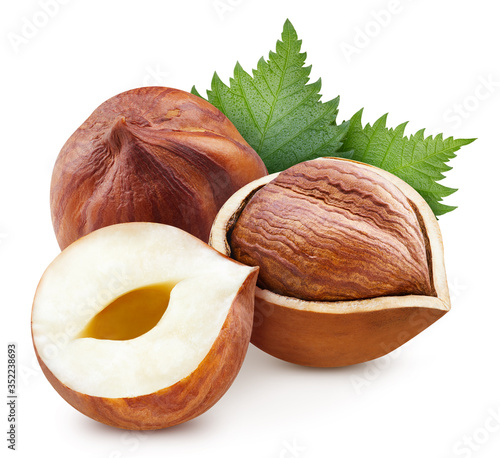Hazelnut isolated on white background photo