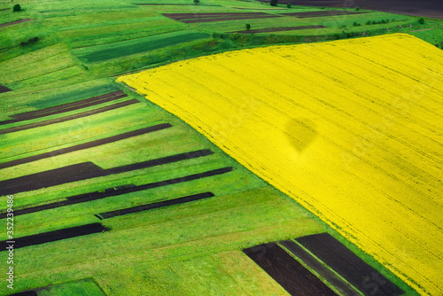 View on the field from the air. Agricultural landscape at the summer time. Co...