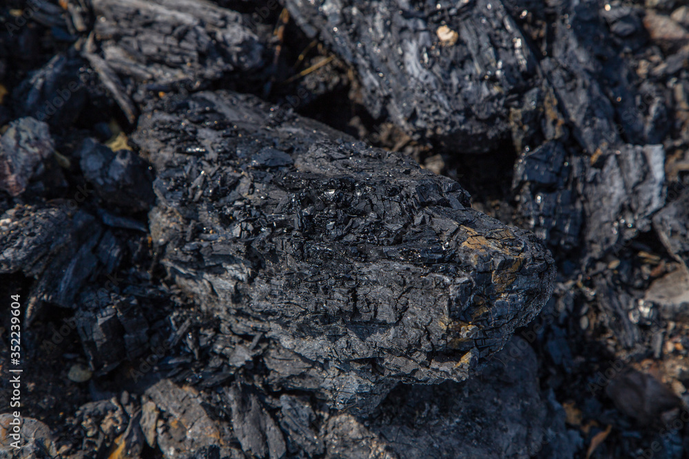 Coal lignite specimen rock sample mineral