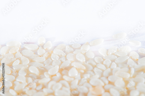 Light background with scattered sesame seeds at high magnification and an empty white background with space for inscriptions