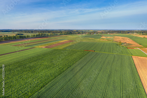 Aerial view of a country agricultural landscape in may Masuria, Poland. © ysuel