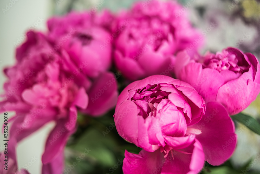 Big bouquet of beautiful pink peonies Big bouquet of beautiful pink peonies