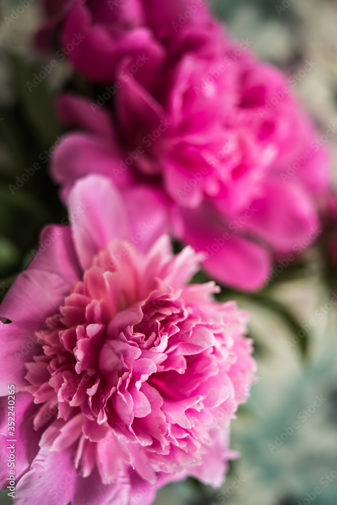 Bouquet of beautiful pink flowers