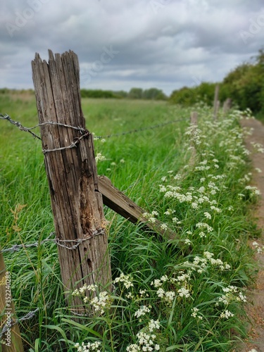 old wooden fence