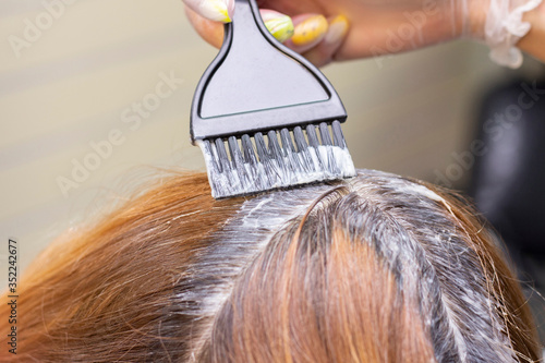 gray hair. Application of hair dye to regrown gray hair roots. beauty salon