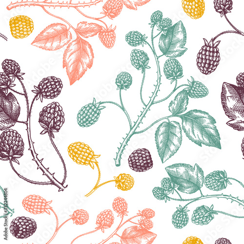 Hand drawn blackberries vector backdrop in color.  Wild berries seamless pattern. Hand drawing. Vintage forest berry sketch. Blackberries plant background. 