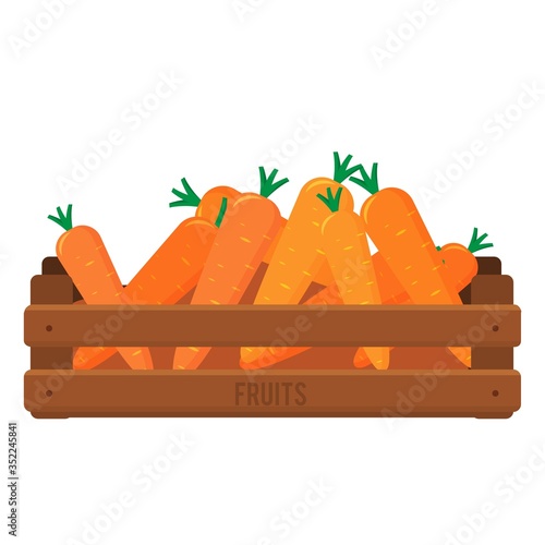 Wooden box with carrot. Harvesting root vegetable. Flat illustration vector.