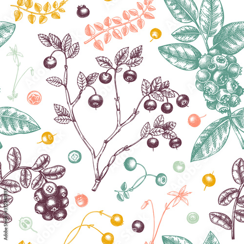 Wallpaper Mural Wild berries seamless pattern in engraved style. Hand drawn forest berries - cranberry,  lingonberry, blueberry, bilberry seamless pattern. Hand drawing. Vintage forest berry plant background.  Torontodigital.ca