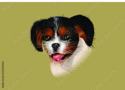 Color image of a puppy. Multi-colored shaggy dog. Color illustration of an animal.