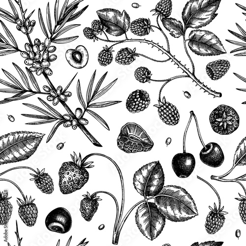 Wild berries sketch seamless pattern. Hand drawn berry vintage vector background. Summer fruit backdrop - strawberry, cranberry, cherry, bilberry, blueberry, and other.