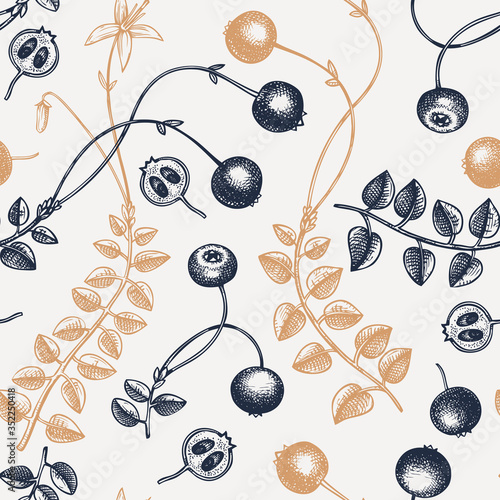 Hand drawn cranberry vector background in color. Wild berries seamless pattern. Hand drawing. Vintage forest berry sketch. Cranberries plant backdrop. Healthy food ingredient