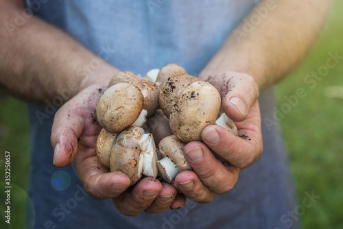 farmer with fresh gathered champignones