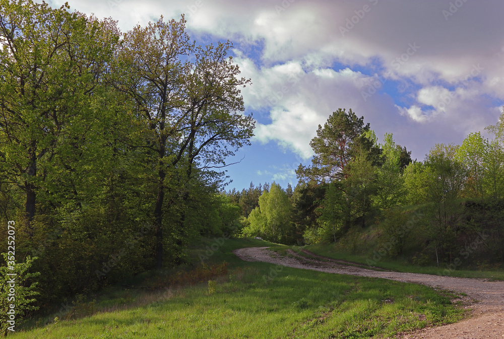 Obraz premium The winding descent of a country road in the forest on a spring day against a background of blue sky and clouds.