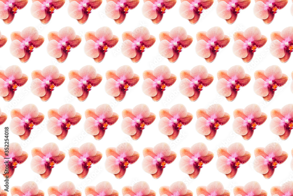 Pattern made from Orchid Plant Pattern made from Orchid Plant