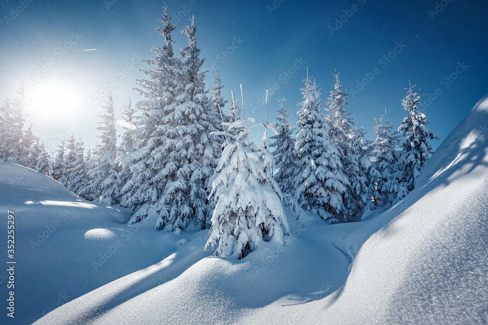 Wonderful Winter Landscape. Awesome Alpine Highlands in Sunny Day. Christmas holyday concept. Winter mountain forest. Snowy mountains and perfect blue sky. Amazing Nature background. postcard Wonderful Winter Landscape. Awesome Alpine Highlands in Sunny Day. Christmas holyday concept. Winter mountain forest. Snowy mountains and perfect blue sky. Amazing Nature background. postcard