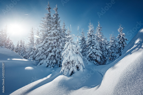 Wonderful Winter Landscape. Awesome Alpine Highlands in Sunny Day. Christmas holyday concept. Winter mountain forest. Snowy mountains and perfect blue sky. Amazing Nature background. postcard © jenyateua