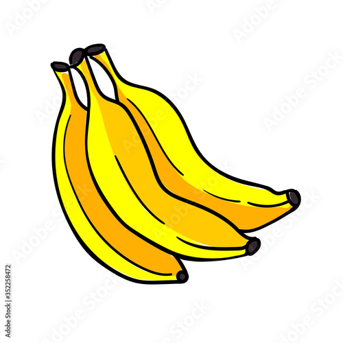 Bunch of bananas on white background. Vector illustration.