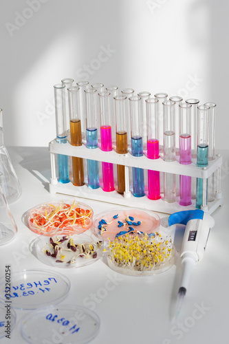 Herbicide-treated corn, suflowers, chick-pea seeds in a Petri dish and sprouted seeds on a table with a dispenser and test tubes photo