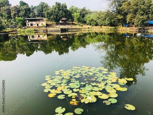 Indian garden with pond