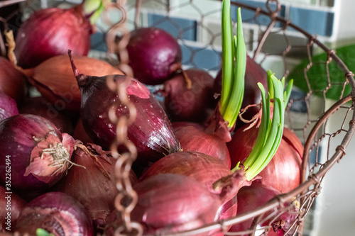 red onions in a basket