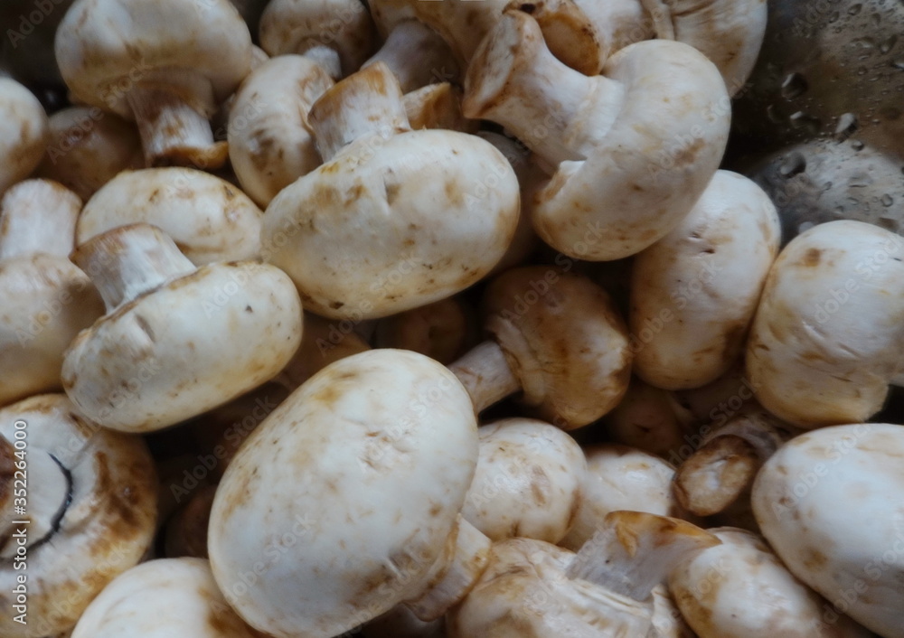 Button Mushrooms