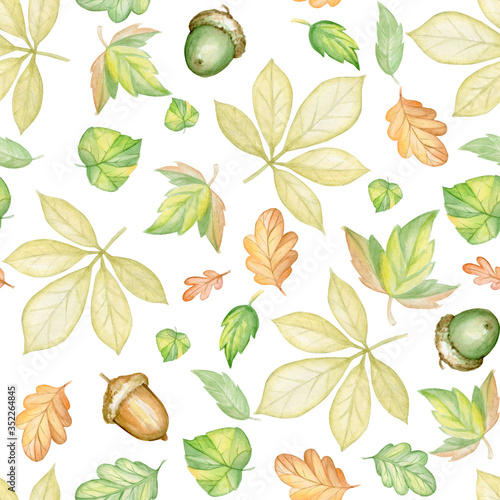 Autumn leaves  acorns  on an isolated background. Watercolor seamless pattern  on an isolated background.