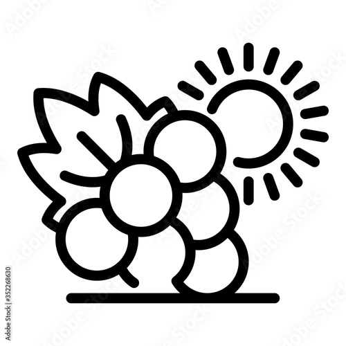 Grapes and sun icon. Outline grapes and sun vector icon for web design isolated on white background