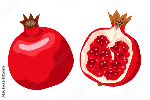 Whole and cut pomegranate icon set. Flat cartoon vector illustration. Good print for textile, poster, menu, card, fabric or wallpaper.