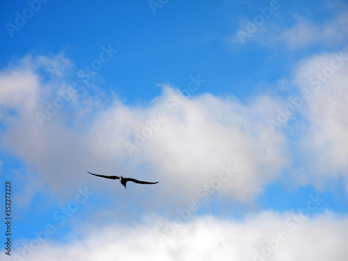 M  we mit Wolkenhimmel