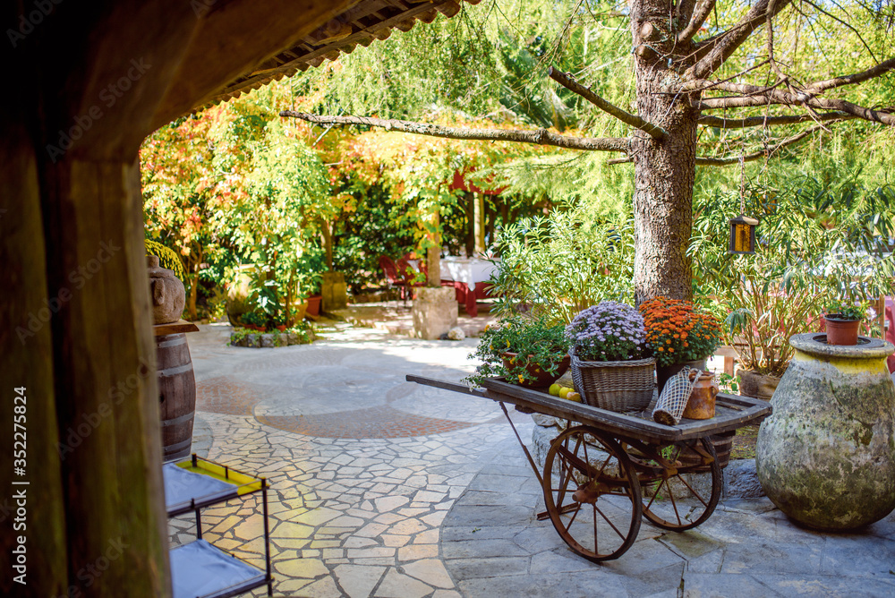 Garden on Dobrota streets Montenegro trees water green grass trip travel summer