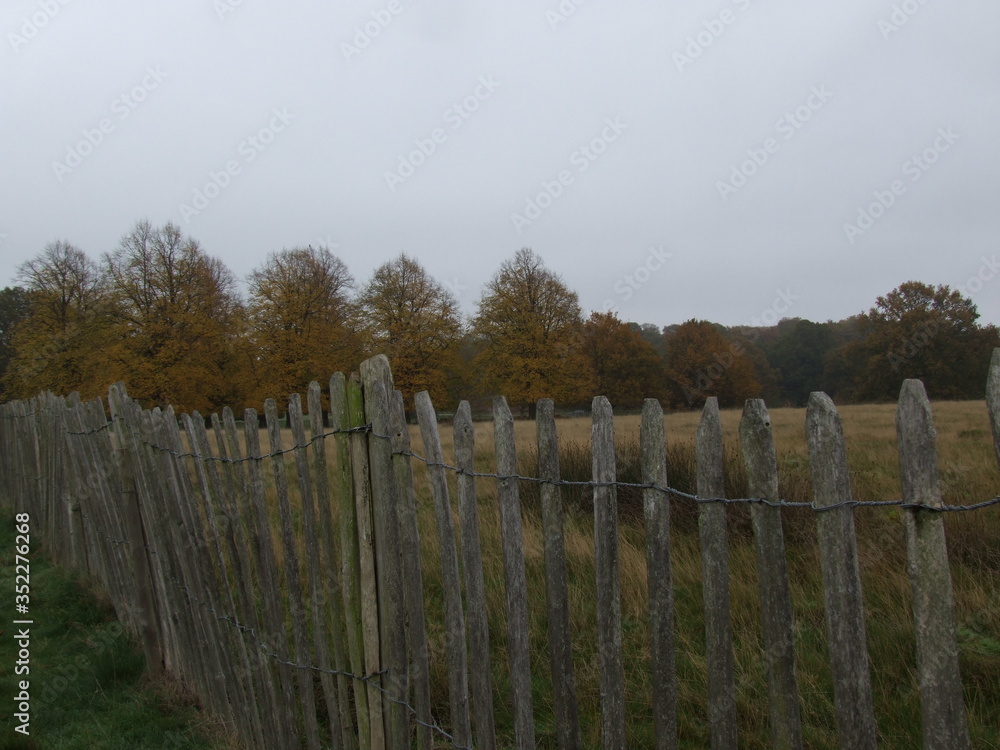 wooden fence in a field