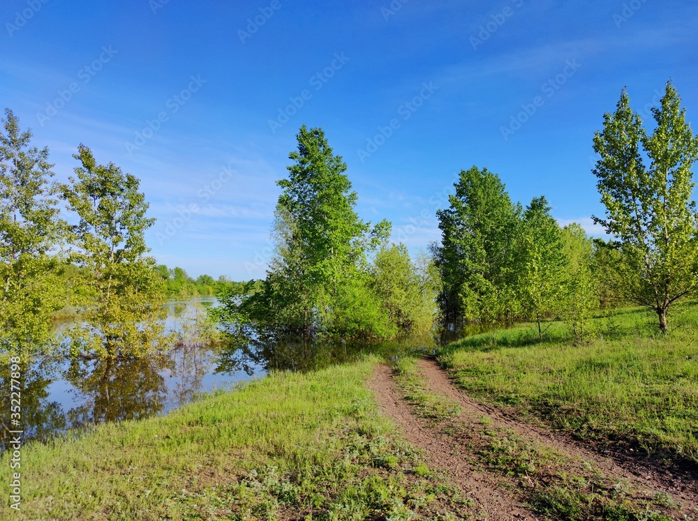 road to a flooded riverbank with trees in the water against a wonderful blue sky with clouds on a sunny day road to a flooded riverbank with trees in the water against a wonderful blue sky with clouds on a sunny day