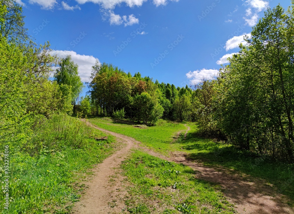 fork of paths near green trees on a sunny day against a blue sky with clouds