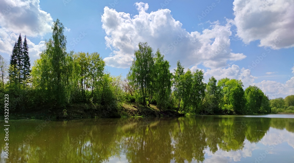 Fototapeta premium green trees by the lake are reflected in the water against a blue sky with clouds on a sunny day