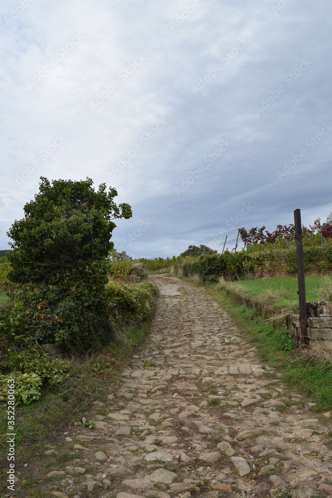 Steiniger Weg Steiniger Weg