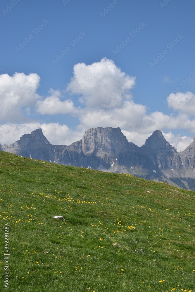 Obraz premium Naturlandschaft in Flumserberg in der Schweiz 17.5.2020