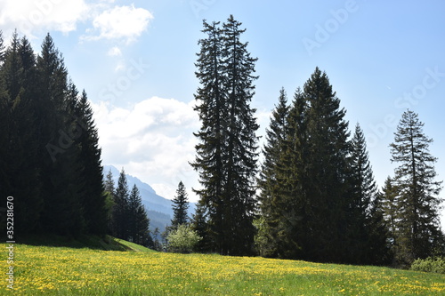 Naturlandschaft in Flumserberg in der Schweiz 17.5.2020 photo