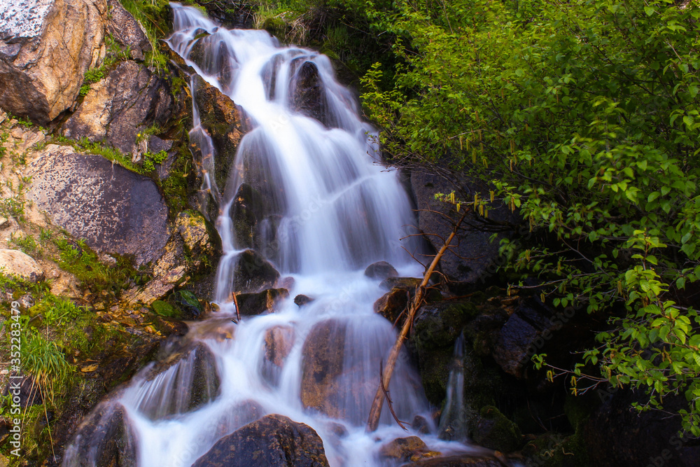 Fototapeta premium waterfall in the forest