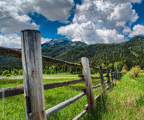 wooden fence in the meadow