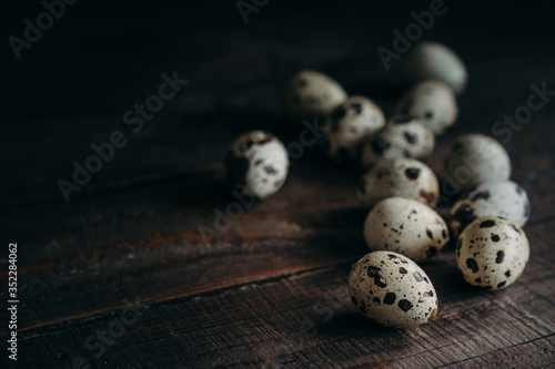 Quail eggs  on dark wooden background.  farm products, organic products, Healthy food concept