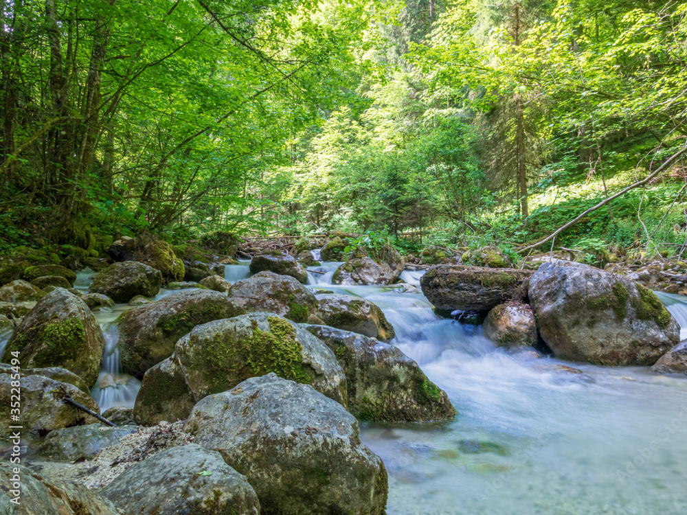 Bavarian wild river with surrounding green forest nature landscape