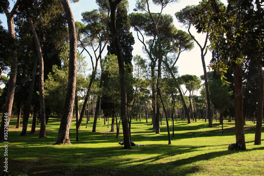 view of summer park with trees in italy