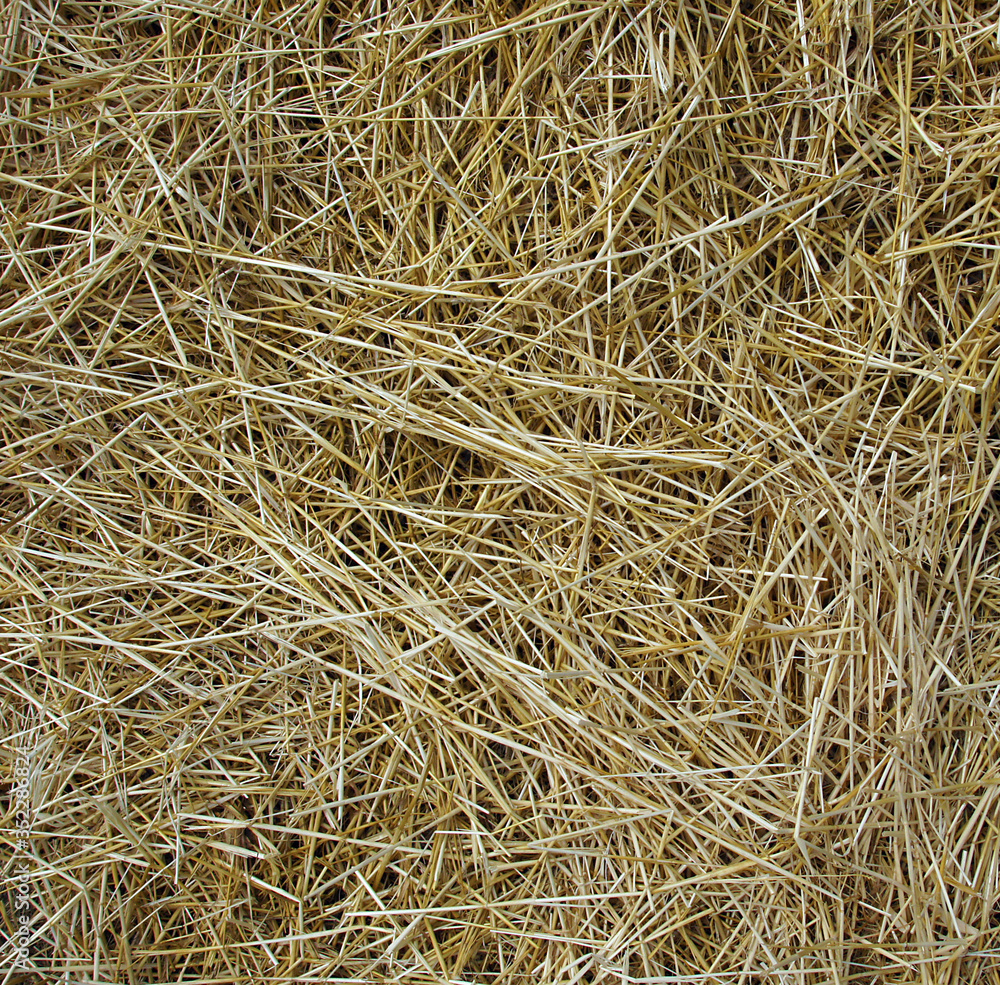 Straw on the field Straw on the field
