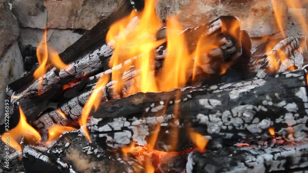 Fire, red flame from burning wood logs Fire, red flame from burning wood logs