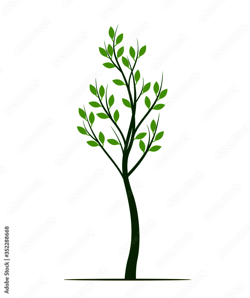 Green Spring Tree. Vector outline Illustration. Plant in garden. Green Spring Tree. Vector outline Illustration. Plant in garden.