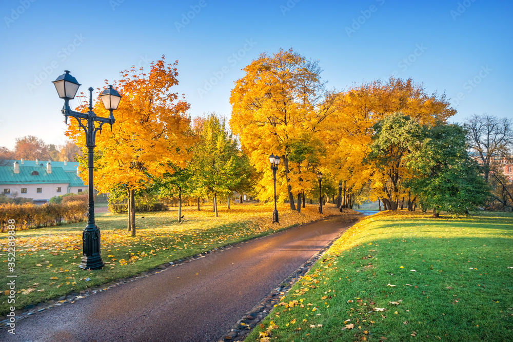 Красивая осень в Царицыно Beautiful autumn trees in Tsaritsyno park Красивая осень в Царицыно Beautiful autumn trees in Tsaritsyno park