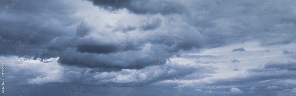 Fototapeta premium blue sky with white clouds - nature background