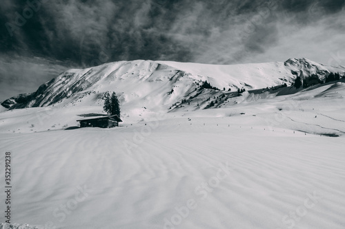 snow covered mountains