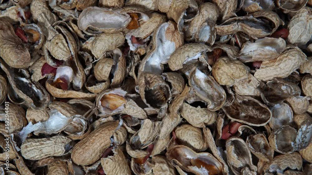The roasted peanut shell rotates in a circle. Peanut background The roasted peanut shell rotates in a circle. Peanut background